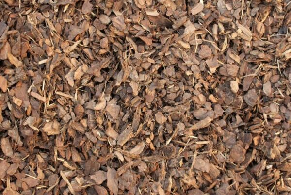 Pine Bark Mini Nugget Mulch