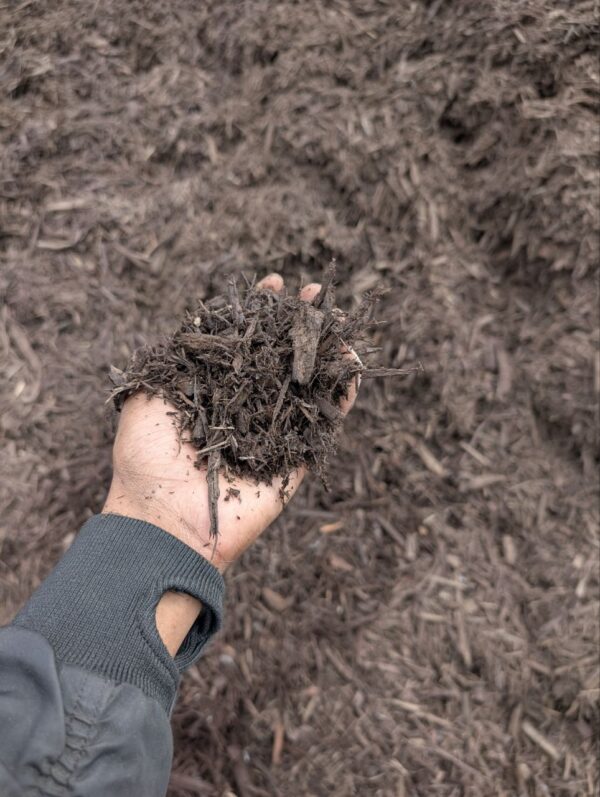 Brown Mulch