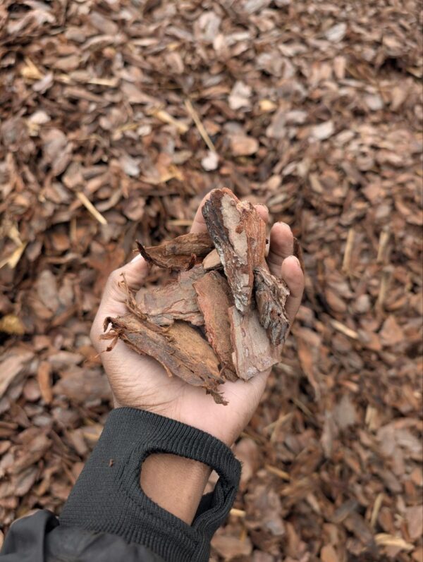 Pine Bark Jumbo Nugget Mulch