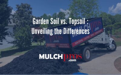 Garden Soil vs. Topsoil—Unveiling the Differences