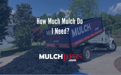 How Much Mulch Do You Need?