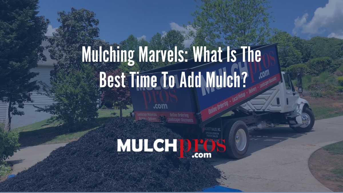 Mulching Marvels: What Is The Best Time To Add Mulch?