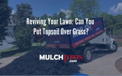 Reviving Your Lawn: Can You Put Topsoil Over Grass?