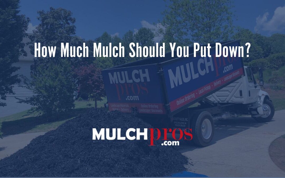 How Much Mulch Should You Put Down?