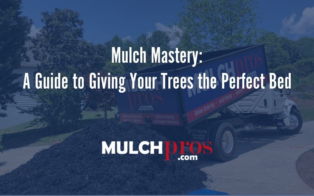 Mulch Mastery: A Guide to Giving Your Trees the Perfect Bed