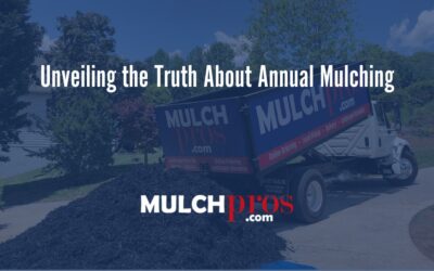 Unveiling the Truth About Annual Mulching