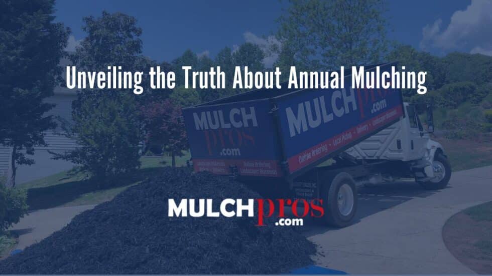 Should You Mulch Every Year Importance of Mulching
