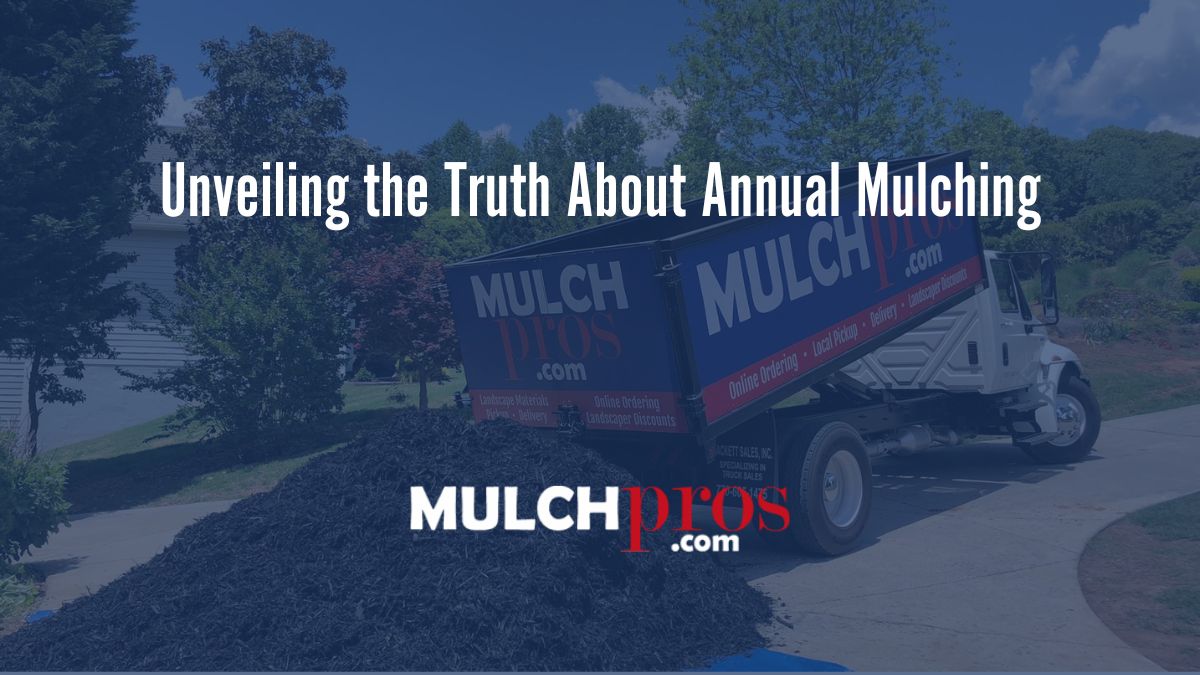 Unveiling the Truth About Annual Mulching