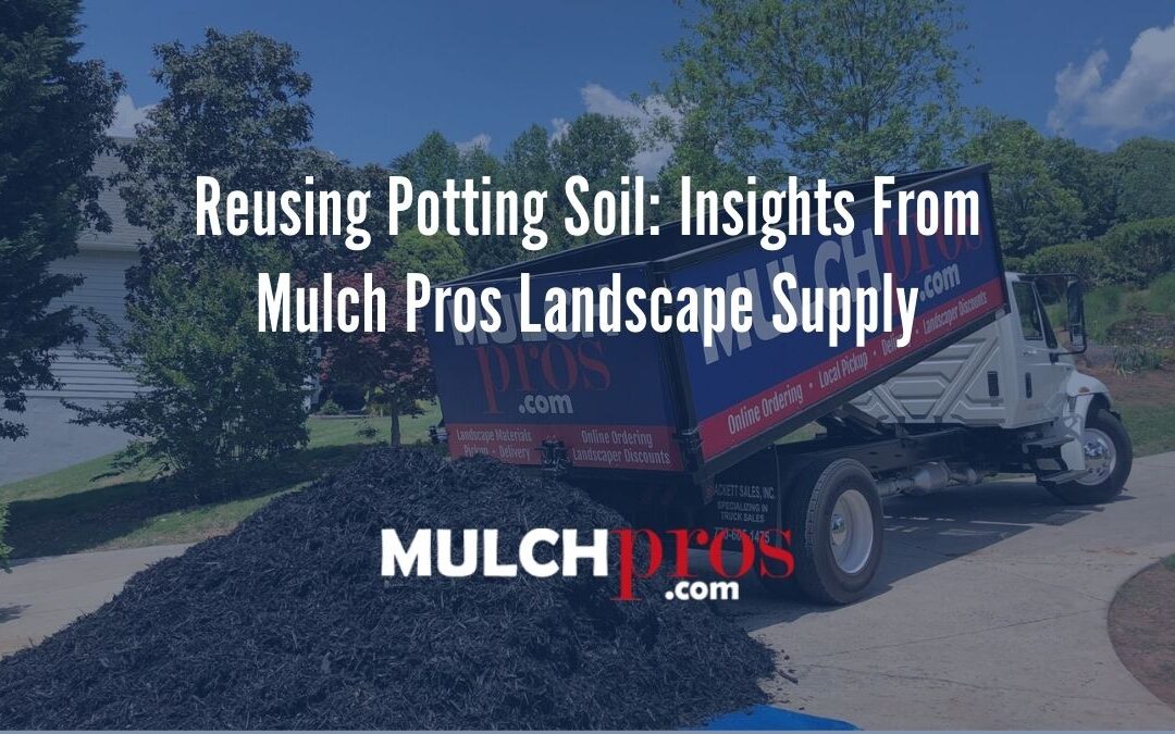 Reusing Potting Soil: Insights From Mulch Pros Landscape Supply