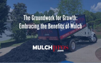 The Groundwork for Growth: Embracing the Benefits of Mulch