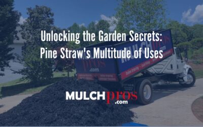 Unlocking the Garden Secrets: Pine Straw’s Multitude of Uses