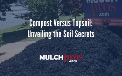 Compost Versus Topsoil: Unveiling the Soil Secrets