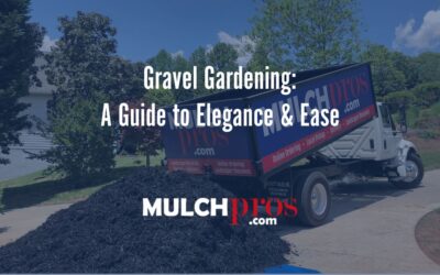Gravel Gardening: A Guide to Elegance & Ease