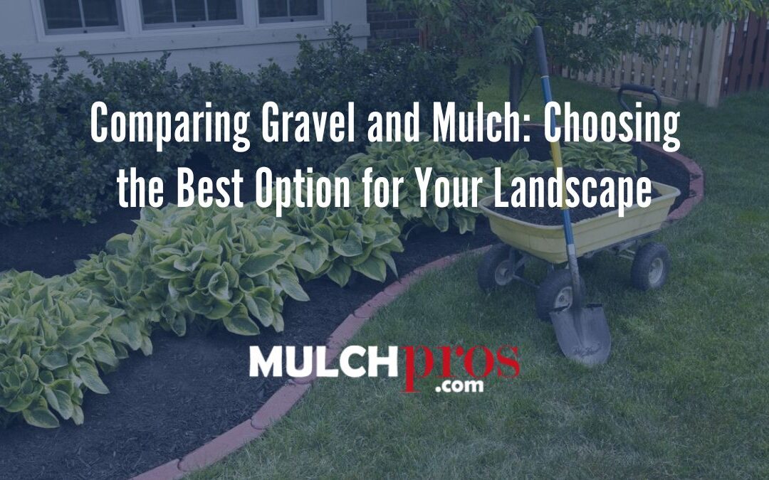 Comparing Gravel and Mulch: Choosing the Best Option for Your Landscape