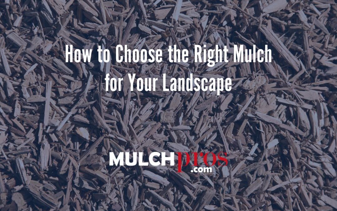 How to Choose the Right Mulch for Your Landscape