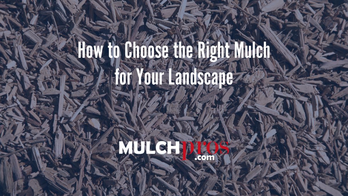 How to Choose the Right Mulch for Your Landscape