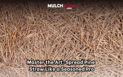 Master the Art: Spread Pine Straw Like a Seasoned Pro