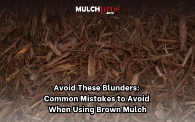 Avoid These Blunders: Common Mistakes to Avoid When Using Brown Mulch