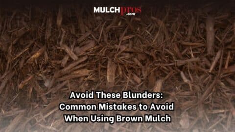 Avoid Common Mulch Mistakes: Instant Calculator That Gets the Math Right