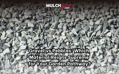 Gravel vs Pebbles: Which Material Reigns Supreme for Your Garden Pathway?