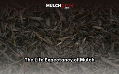 The Life Expectancy of Mulch