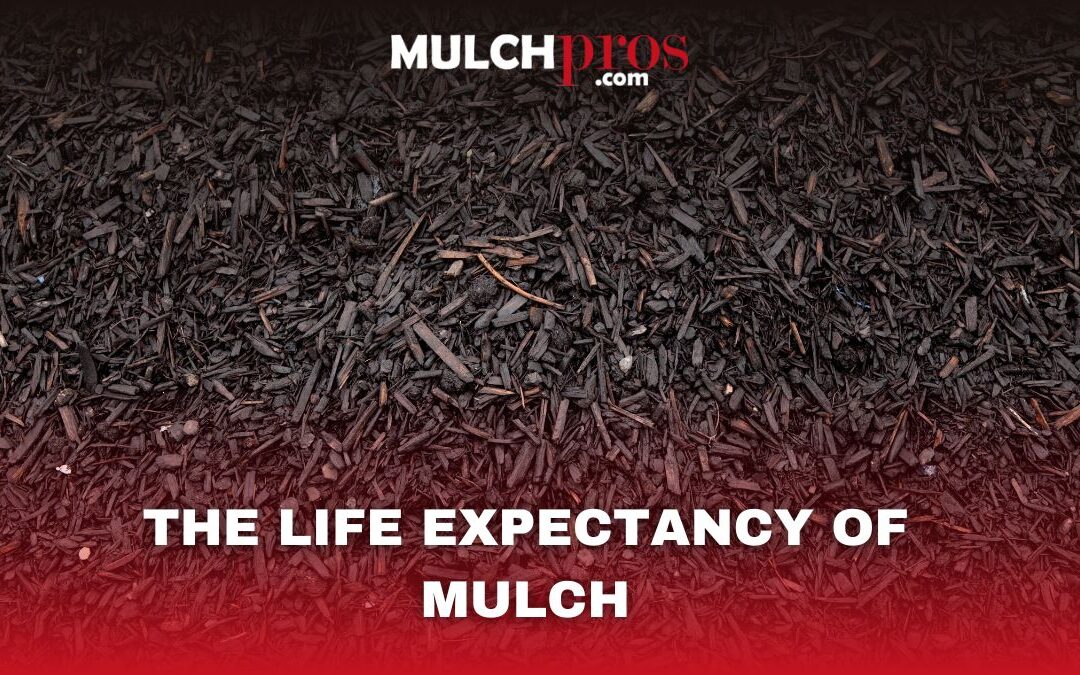 The Life Expectancy of Mulch