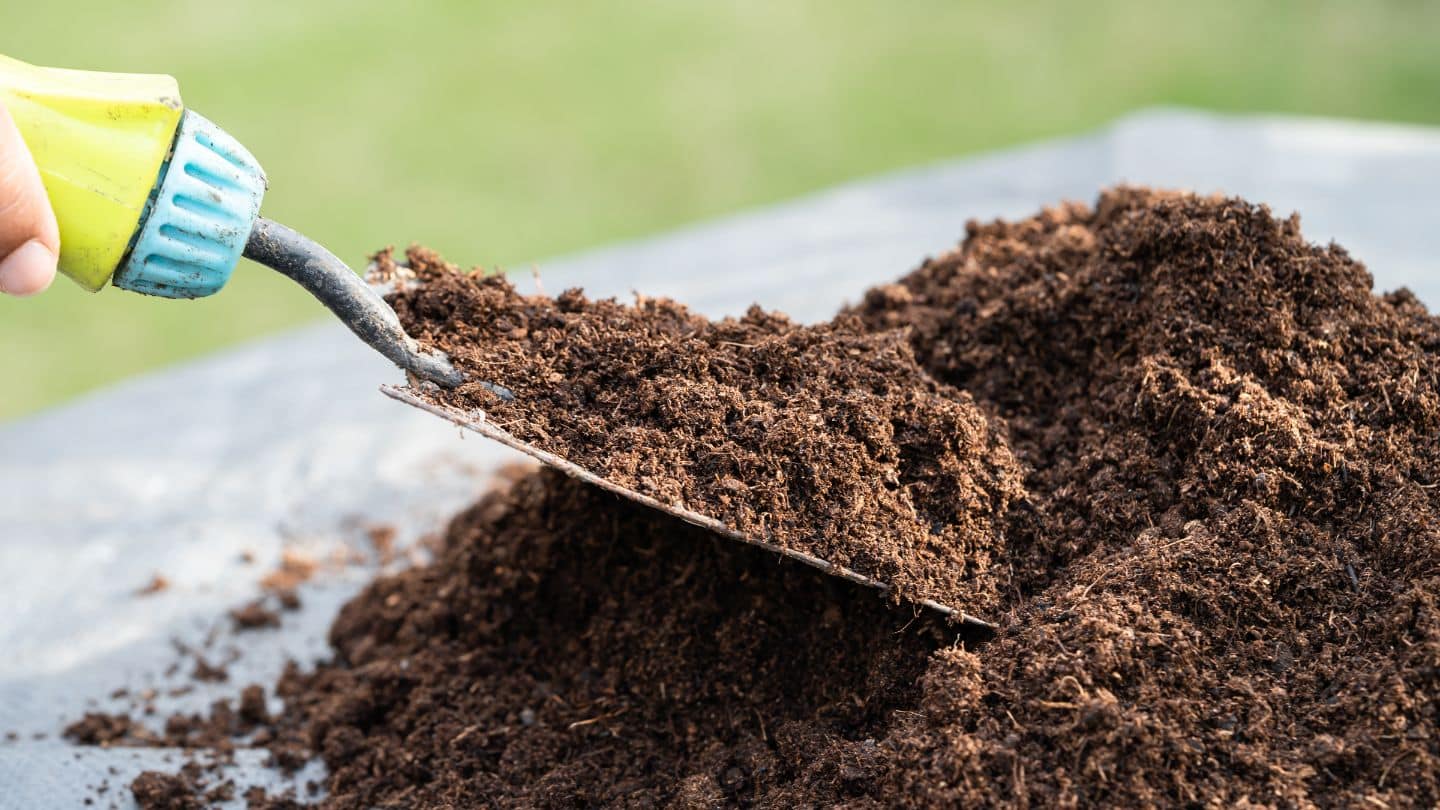 Environmental Benefits of Using Quality Topsoil