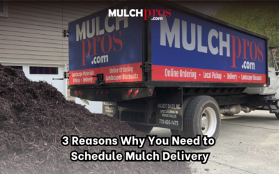 3 Reasons Why You Need to Schedule Mulch Delivery