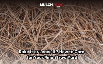 Rake It or Leave It? How to Care for Your Pine Straw Yard