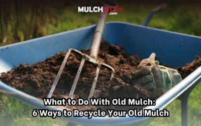 What to Do With Old Mulch: 6 Ways to Recycle Your Old Mulch