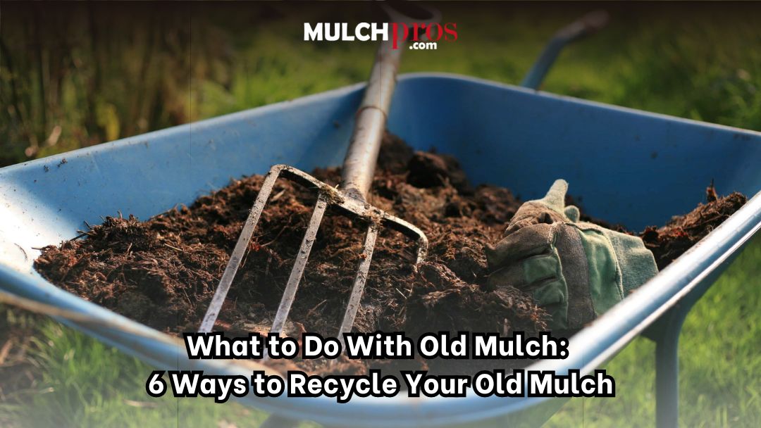 What To Do With Old Mulch: 6 Ways To Recycle Your Old Mulch