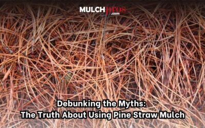 Debunking the Myths: The Truth About Using Pine Straw Mulch