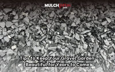 Tips to Keep Your Gravel Garden Beautiful for Years to Come