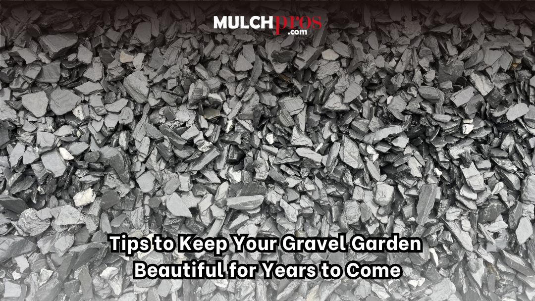 Tips To Keep Your Gravel Garden Beautiful For Years To Come