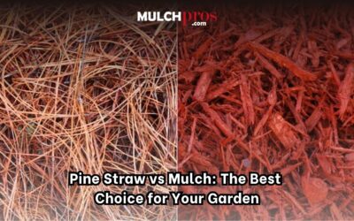 Pine Straw vs Mulch: The Best Choice for Your Garden