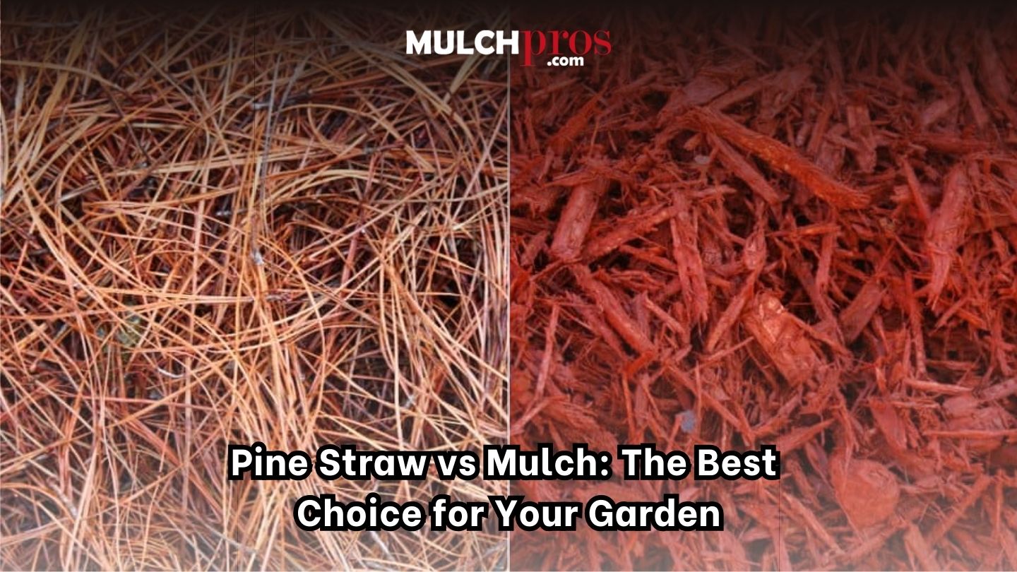 Pine Straw vs Mulch: The Best Choice for Your Garden