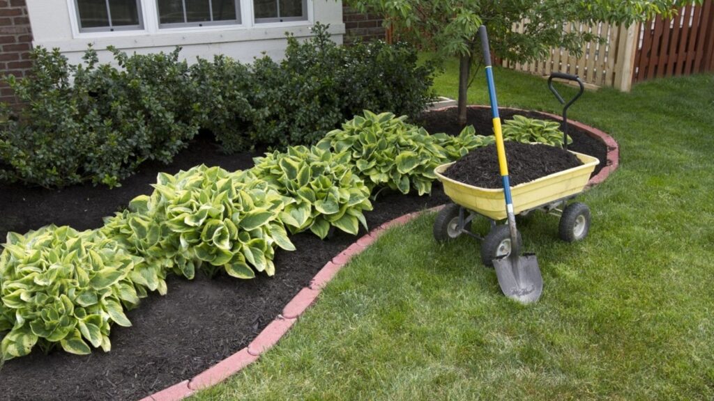 When to Use Fill Dirt vs. Topsoil