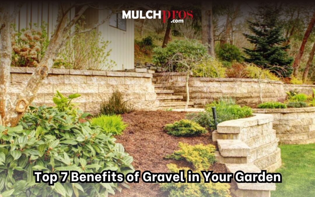 Top 7 Benefits of Gravel in Your Garden