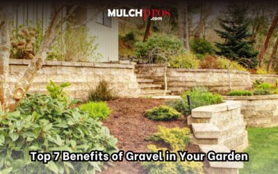 Top 7 Benefits of Gravel in Your Garden