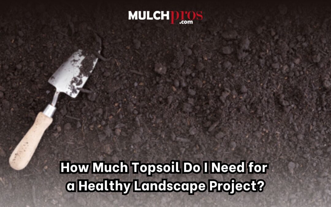 How Much Topsoil Do I Need for a Healthy Landscape Project?