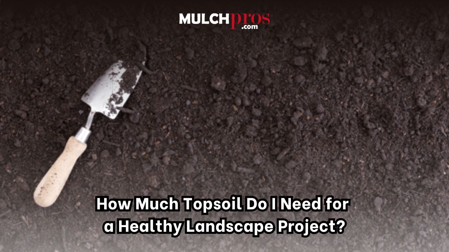 How Much Topsoil Do I Need for a Healthy Landscape Project?