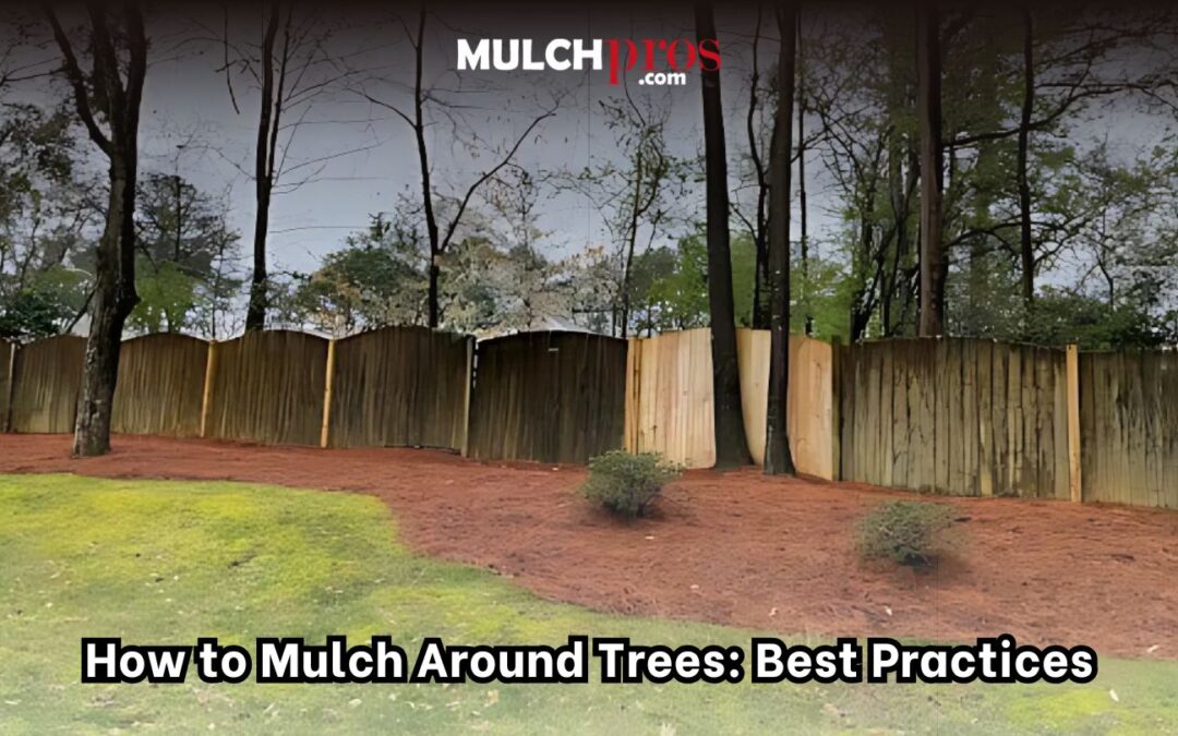 How to Mulch Around Trees: Best Practices