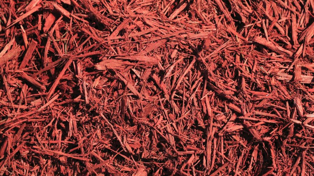 Types of Mulch: Choosing the Right One for Your Garden