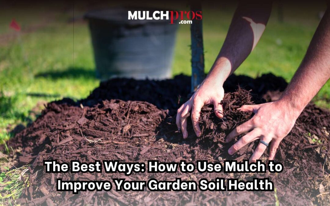 The Best Ways: How to Use Mulch to Improve Your Garden Soil Health