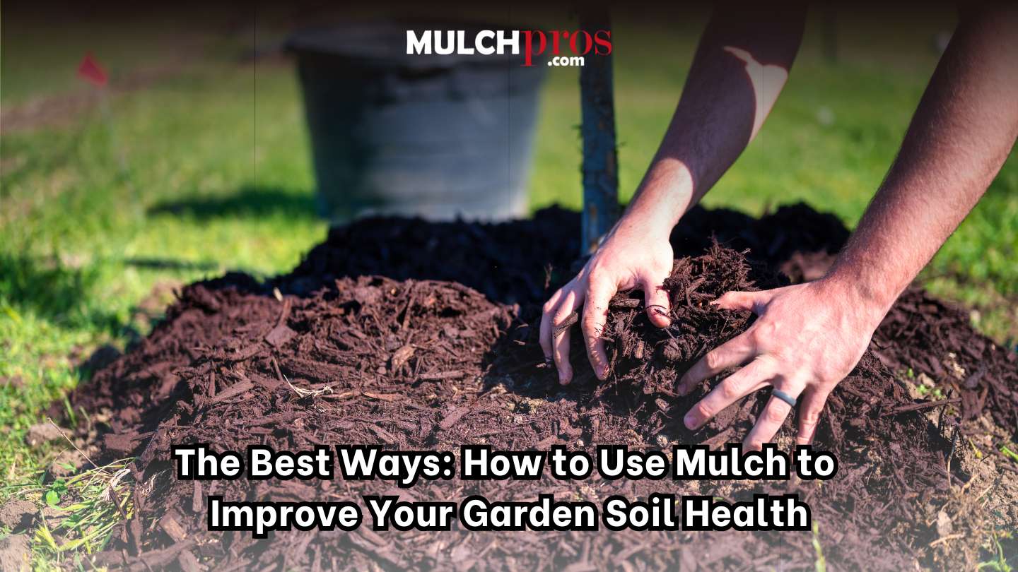 The Best Ways: How to Use Mulch to Improve Your Garden Soil Health