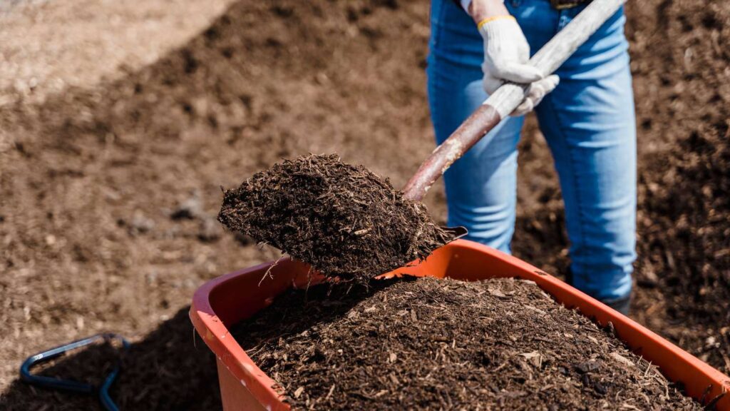 Moisture Retention and Temperature Regulation with Mulch