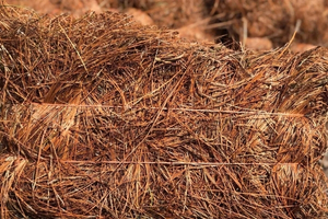 Pine Straw Products