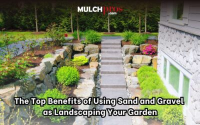 The Top Benefits of Using Sand and Gravel As Landscaping Your Garden