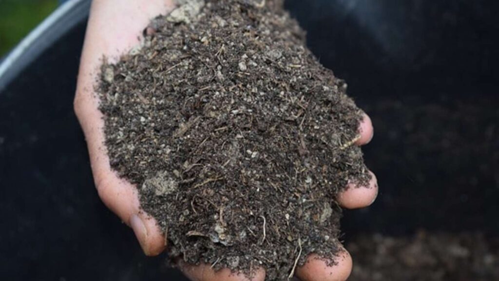 What is Mulch and Why It Matters for Soil Health