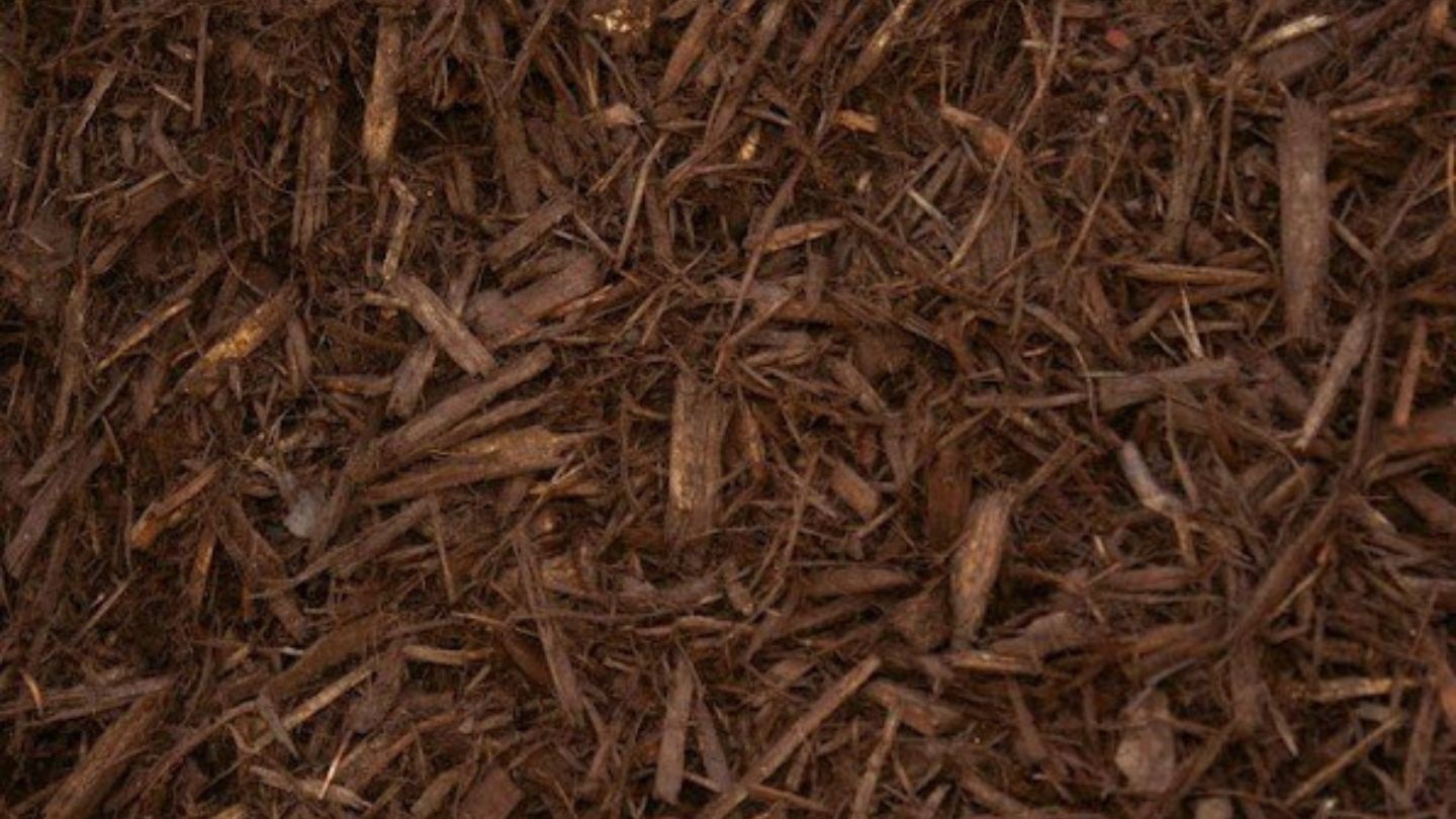 Appearance and Types of Mulch and Bark